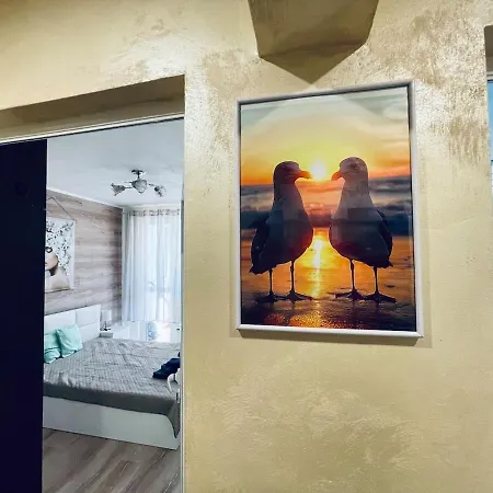 Glarus Apartment Warna